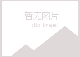 岚山区白易会计有限公司